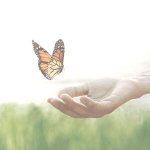 https://www.flaviaconsolini.com/wp-content/uploads/2022/04/supporto-psicologico-oncologia-300x300.jpg